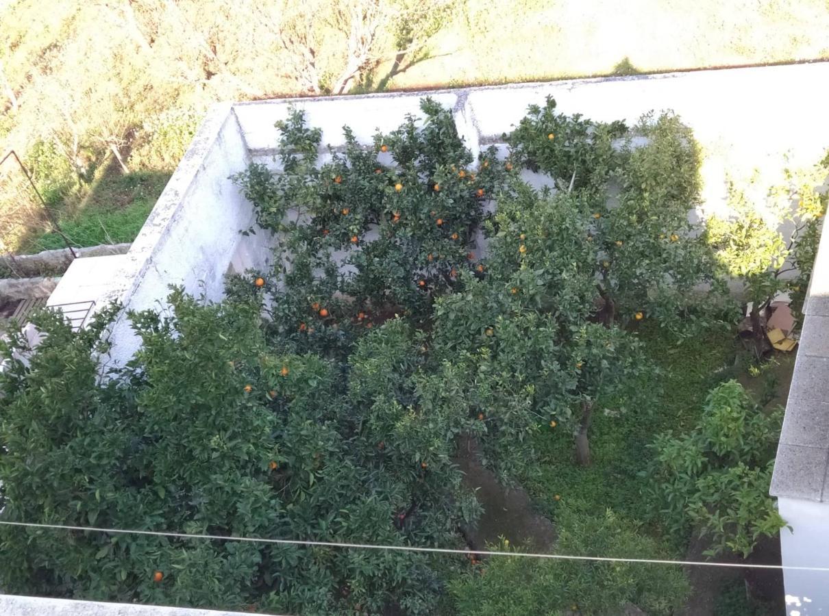 Villa Gardenia Ostuni Kültér fotó