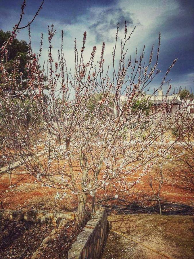 Villa Gardenia Ostuni Kültér fotó