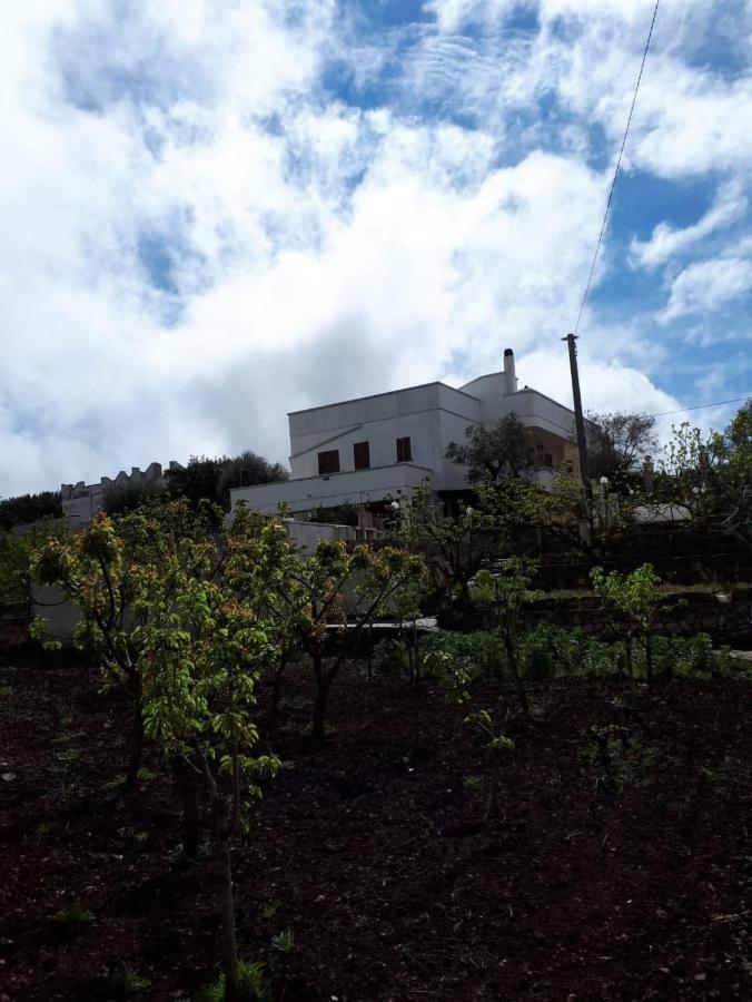 Villa Gardenia Ostuni Kültér fotó